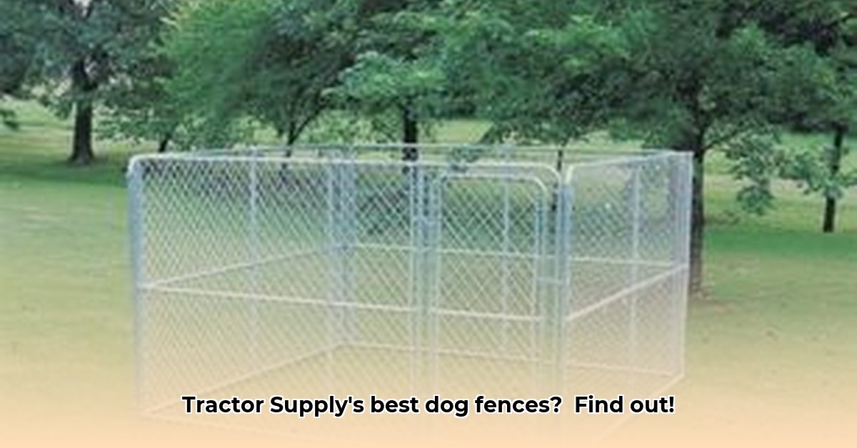 dog-fences-at-tractor-supply